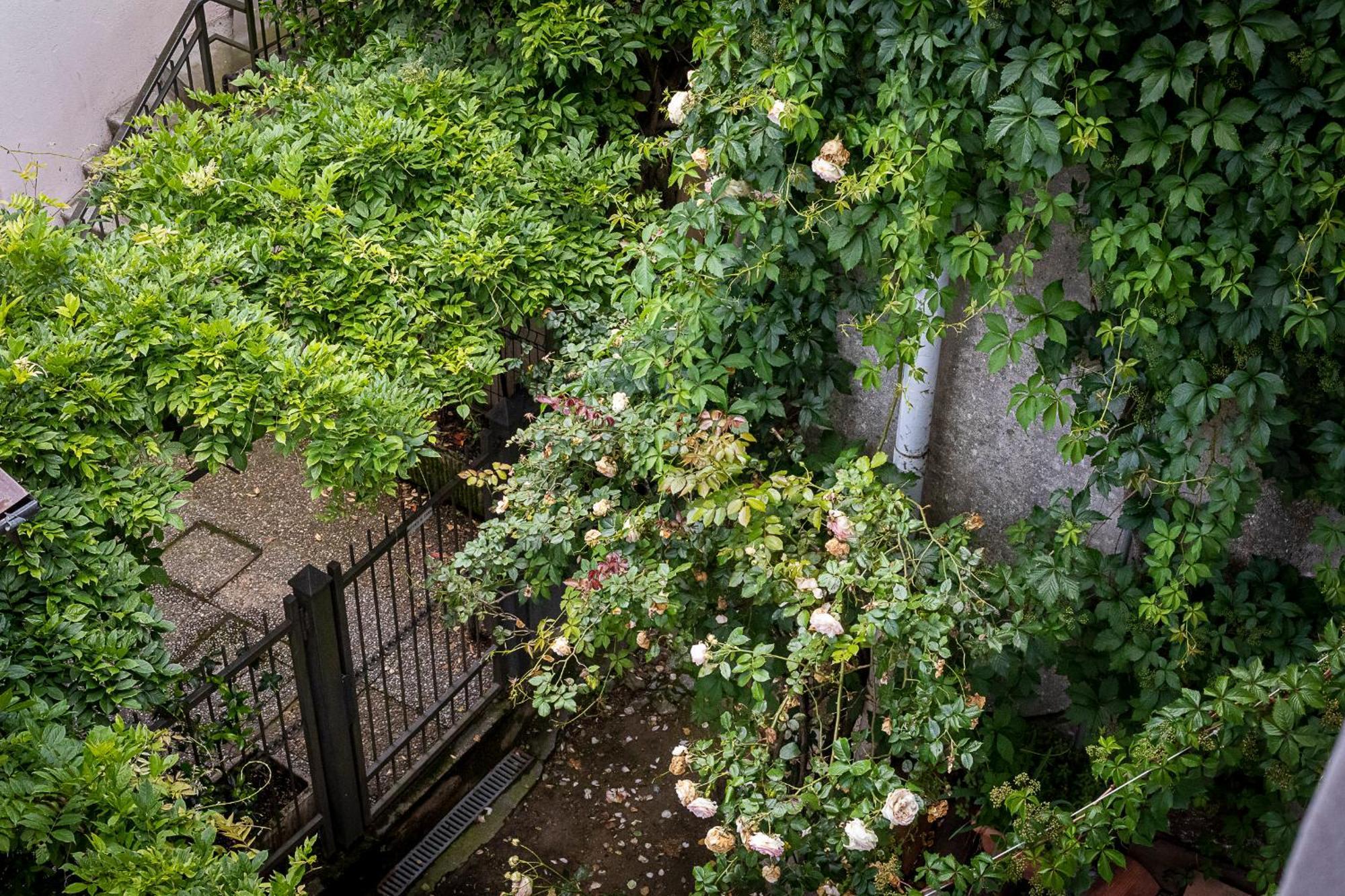 Fiordaliso Apartment Como Dış mekan fotoğraf